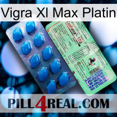 Vigra Xl Max Platinum new02